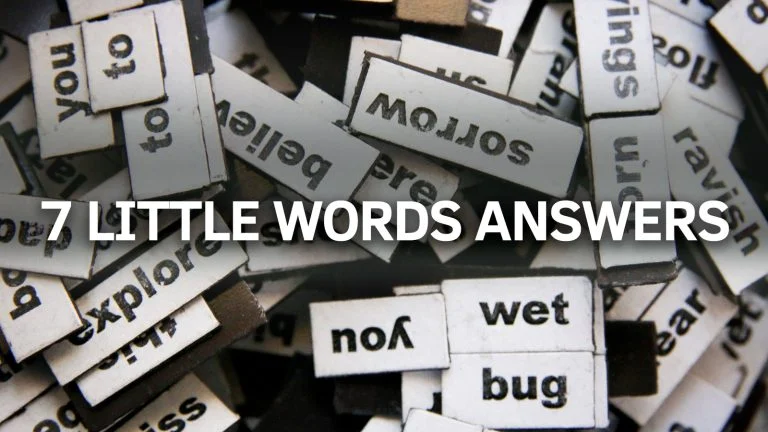 7 Little Words July 8 2022 Answers - Gamer Digest