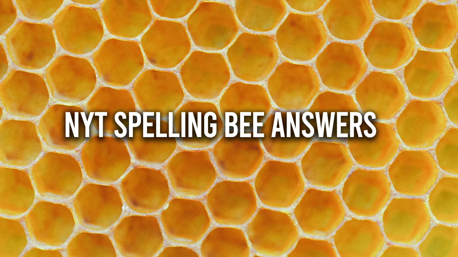 NYT Spelling Bee Answers (April 2024)