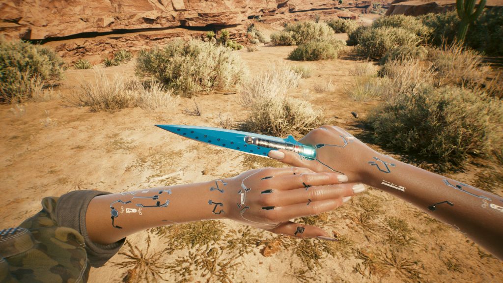 Where to Get the Blue Fang in Cyberpunk 2077
