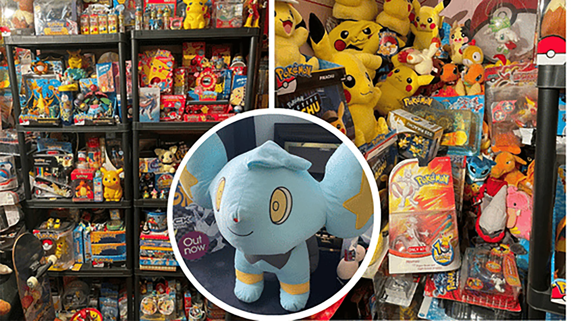 World's Largest Pokemon Collection 