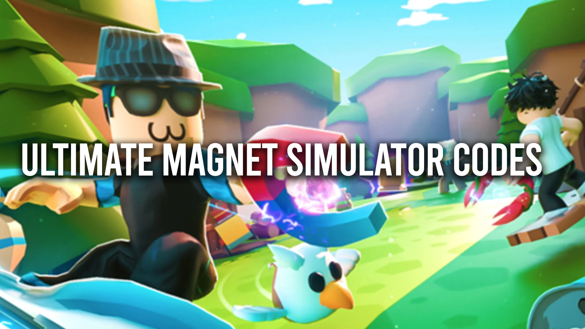 Codes For Ultimate Magnet Simulator
