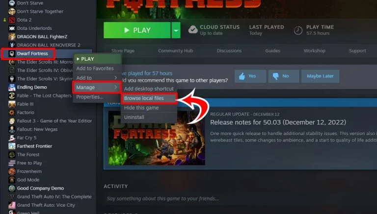 Dwarf Fortress Local Files in Steam