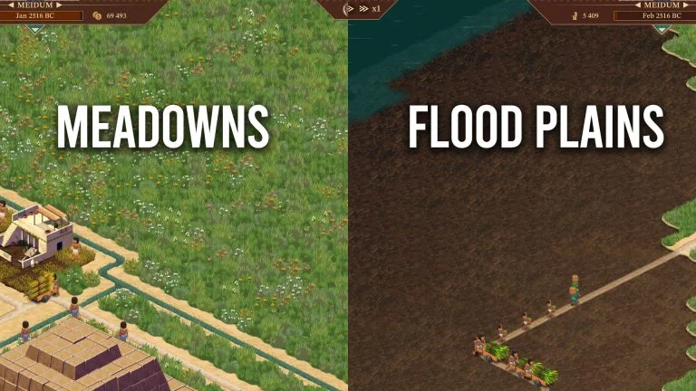 Meadows and Flood Plains in Pharaoh A New Era