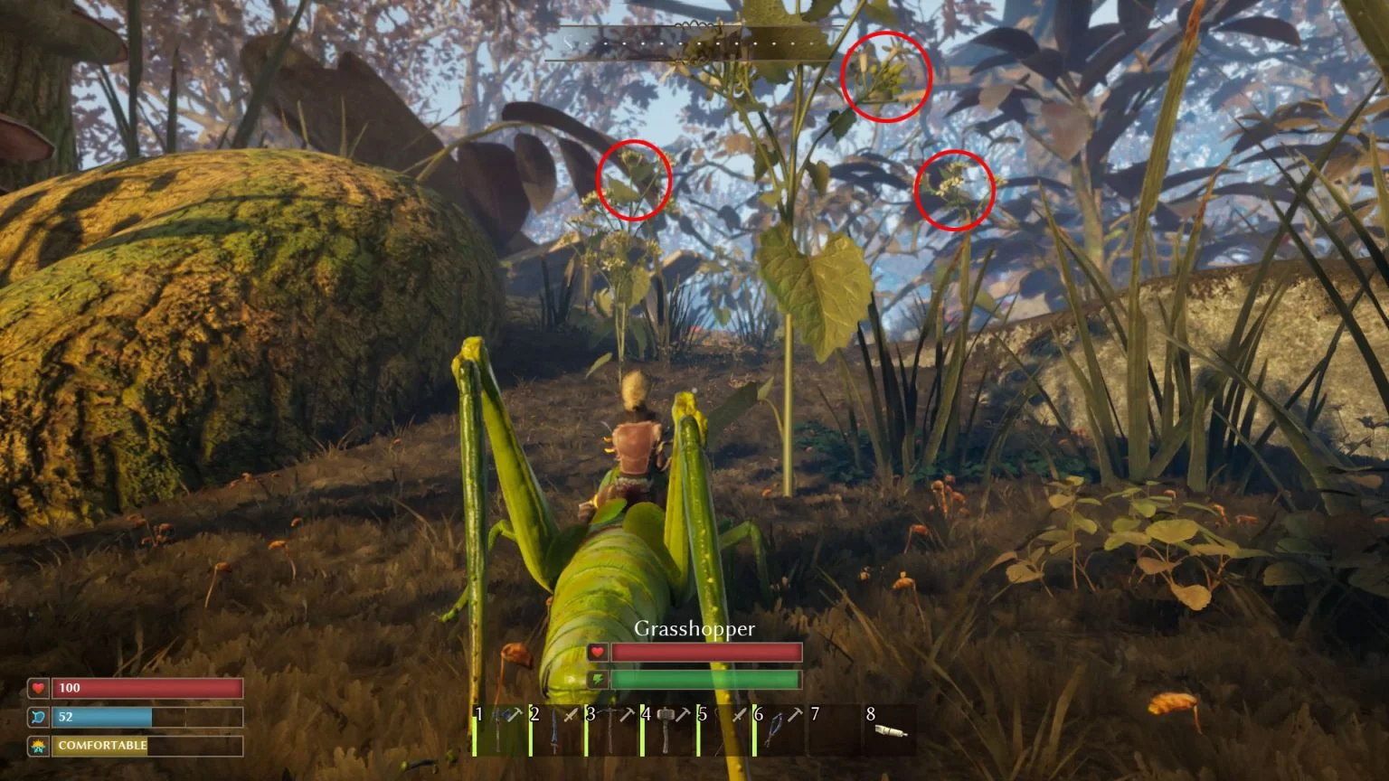 Smalland Where to Find Garlic Leaf Gamer Digest